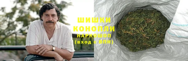 стаф Корсаков