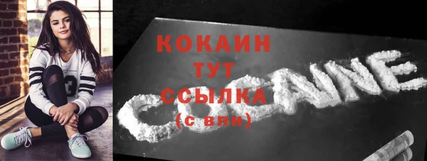 стаф Корсаков