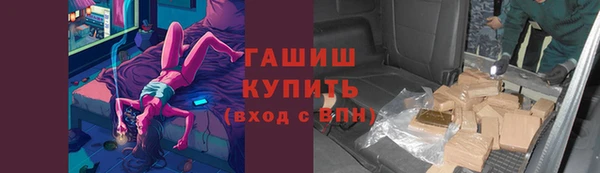 стаф Корсаков