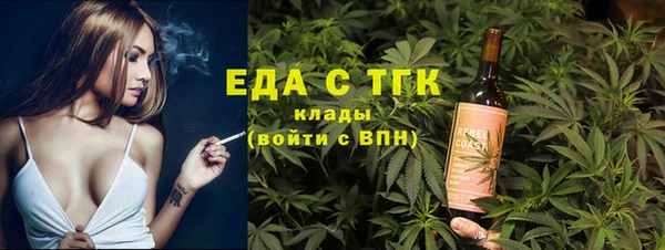стаф Корсаков