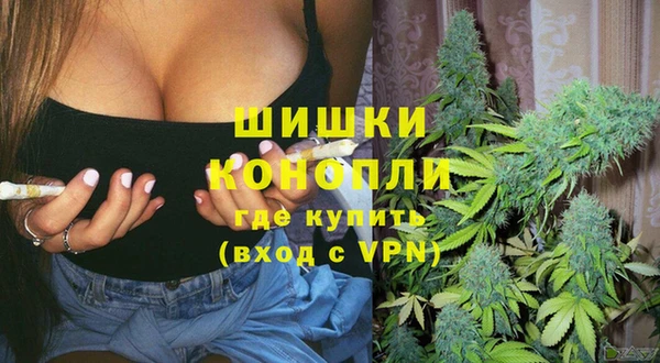 гидропоника Костерёво