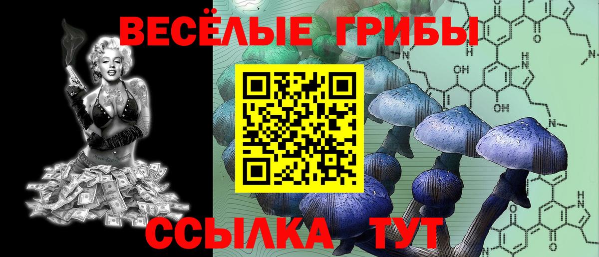 Псилоцибиновые грибы ЛСД  цены   Псилоцибиновые грибы GOLDEN TEACHER  Лангепас  Вход с VPN 