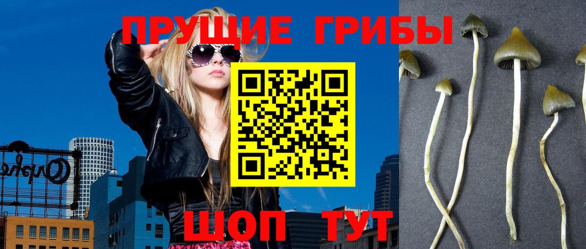 Псилоцибиновые грибы мухоморы Лангепас